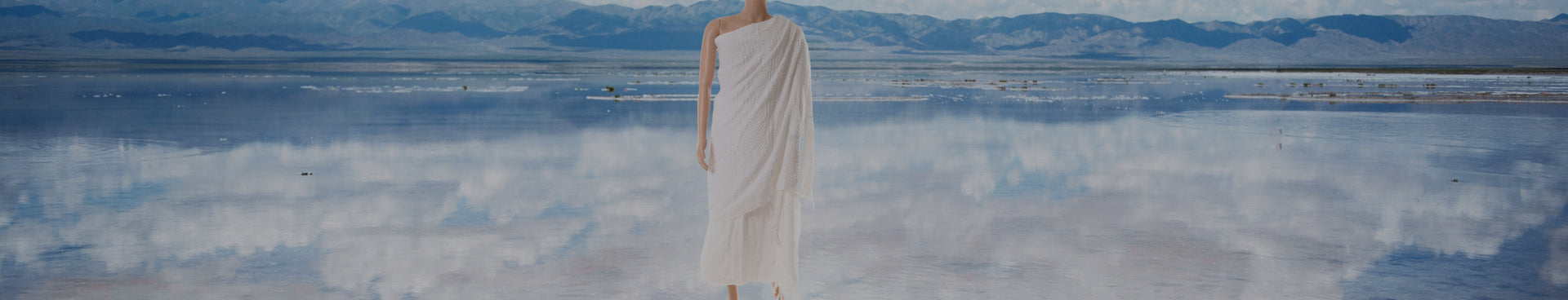 石家庄唐聚贸易股份有限公司